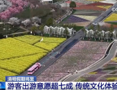 透过数据看清明假期出行“热” 传统文化“体验游”为文旅经济注入新活力中国旅游研究院官网