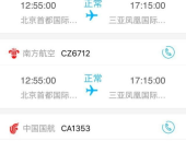 航班动态查询,应对航班延误与取消的出行攻略”